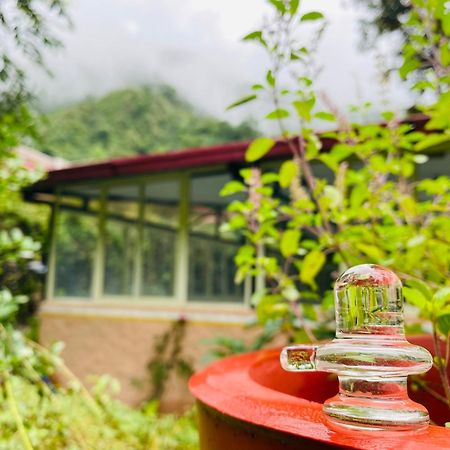 Shiv Shakti Yogpeeth Cottages Rishīkesh 외부 사진